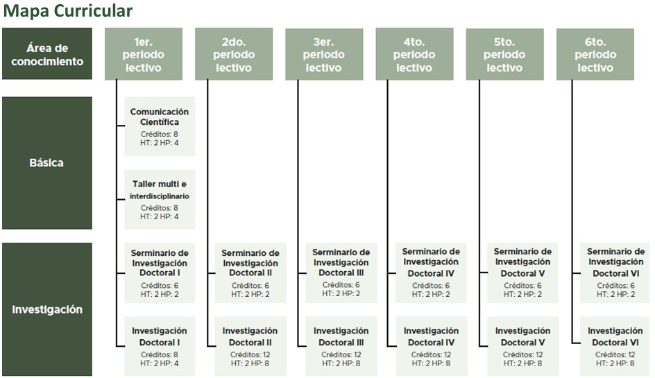 mapa curricular doccienagrorecnat